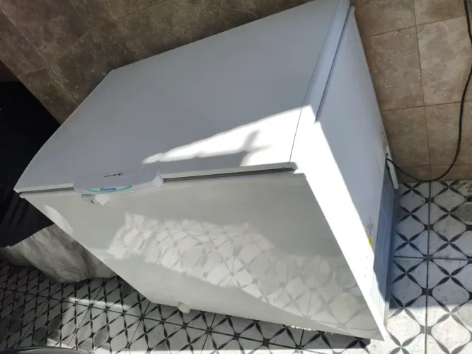 Freezer Electrolux 
