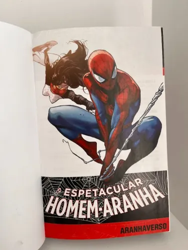 O ESPETACULAR HOMEM ARANHA - ARANHAVERSO