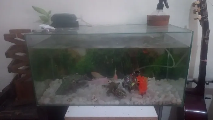 Aquário 30 litros