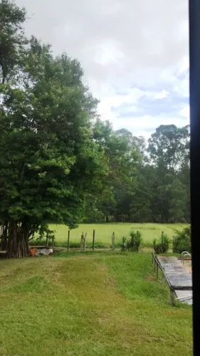 Trabalhador chácara 2x por semana