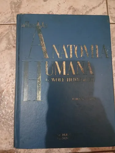 Atlas de anatomia humana 3ª edição 
