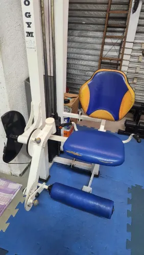 Cadeira Extensora profissional (c/peso) ProGym