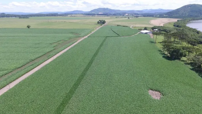 Fazenda com 1815000 metros quadrados - Ireneópolis - Santa Catarina