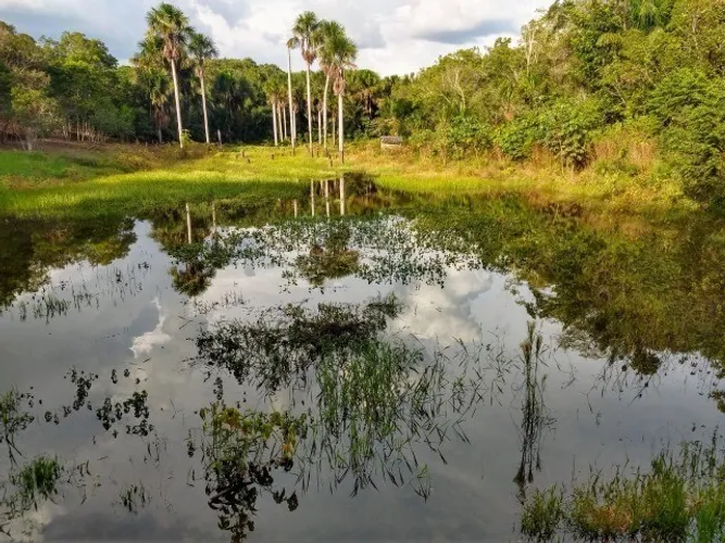 Lote de fundos para área verde e Igarapé no Km 19 da AM 070.