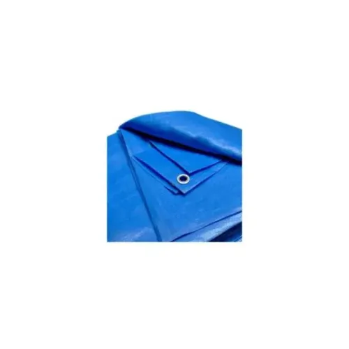 Lona Encerado Polietileno 100 Micras 3M X 2M Azul Kala