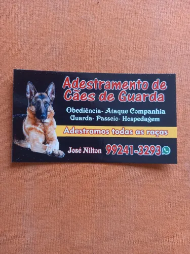 Adestramento 