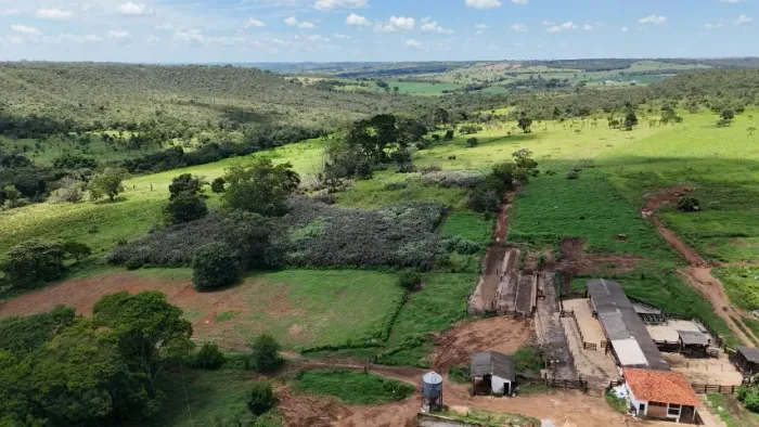 Fazenda para Soja e gado a venda em Alexânia/GO com 425 hectares beira do asfalto