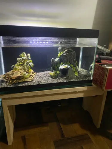 Aquário 30L Completo