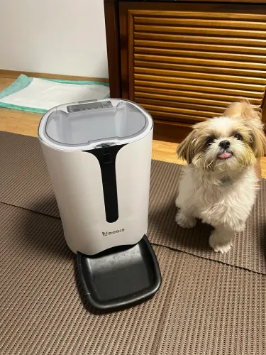 Alimentador Automático Dogis Essencial para Grãos Grandes com Gravador de Voz
