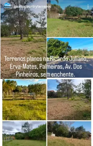 Temos os melhores, fale com o proprietário.