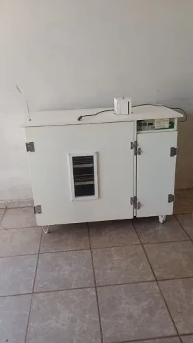 Chocadeira para 273 ovos, revisada