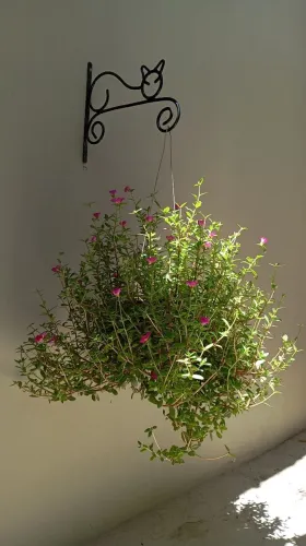 Suporte de parede para vaso de plantas com gato em ferro - Decoração elegante