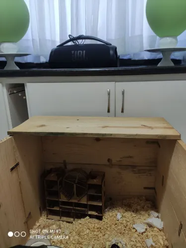 Terrário de Madeira Artesanal para Hamster e Pequenos Roedores