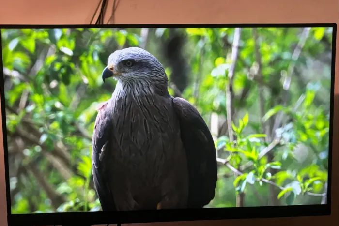 Monitor Gamer LG UltraGear 24? IPS Full HD 144Hz + Caixa