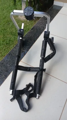 Cadeira de cão deficiente