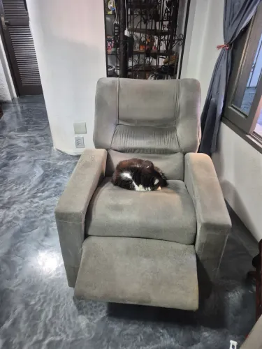 Sofá cadeira do papai