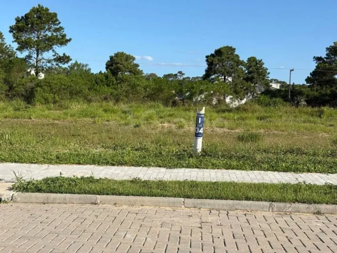 Terreno para Venda em Florianópolis, São João do Rio Vermelho