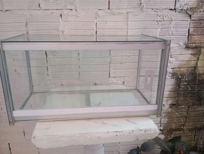 Vitrine de vídeo