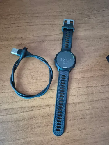 Forerunner 55