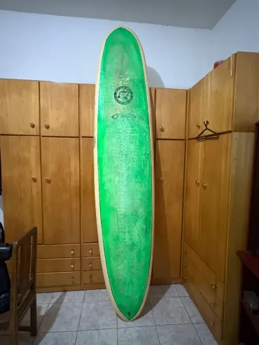 Long board 9.5 exelente estado vai com capa