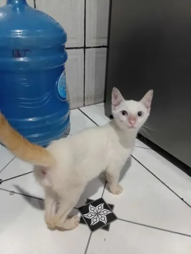 Doação 