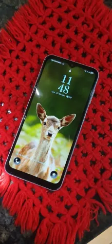 Celular