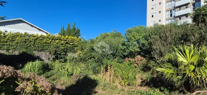 Lindo Terreno de esquina com 582m2 no Bairro Imigrante