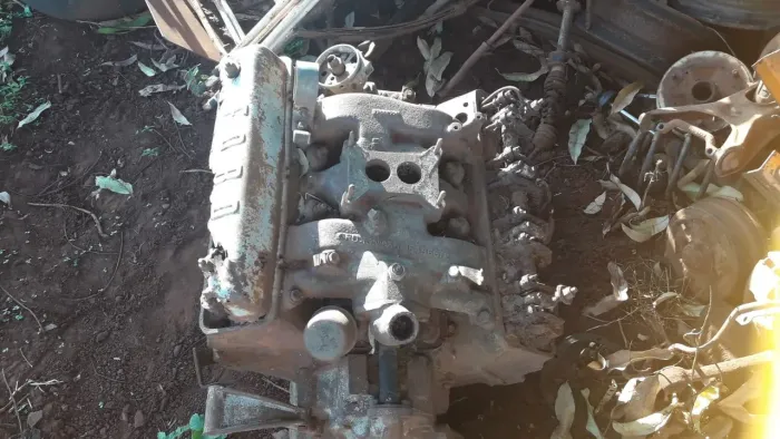 Motor Ford 292 