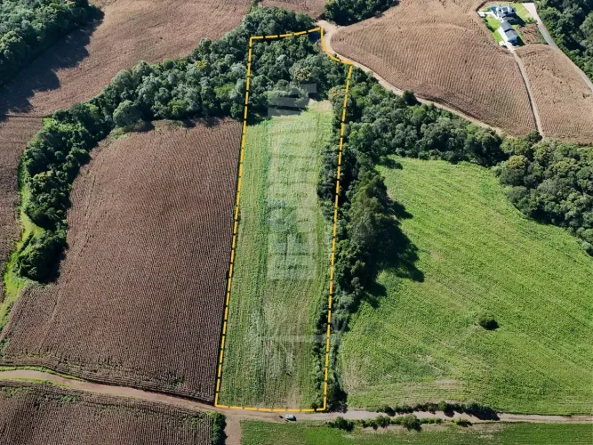 Terreno rural possui tanque, com 25.000m² Serrinha, Campo Alegre - SC