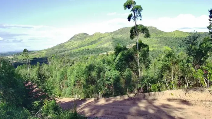 Terrenos em São Roque: A Cidade que Mais Cresce e Valoriza no Interior de SP!Dentro da Rot