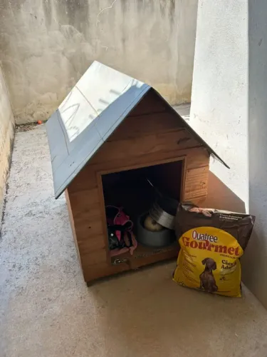 Casinha cachorro G