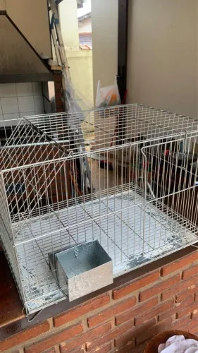 Duas Gaiolas à Venda - 1 para Porquinho-da-Índia/Aves + 1 para Porquinho-da-Índia