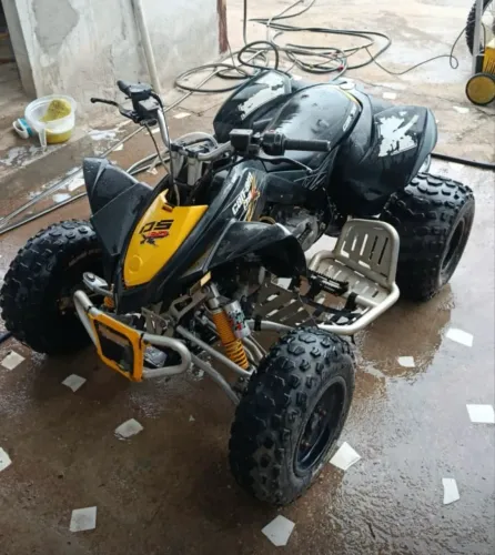Quadriciculo