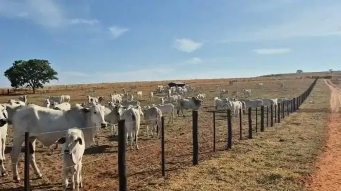 VENDO FAZENDA ALTO TAQUARI ALTA ARAGUAIA