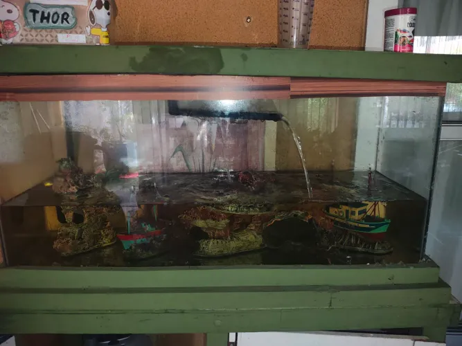 Aquário medindo 1,00X0,45 com Bomba e Decoração