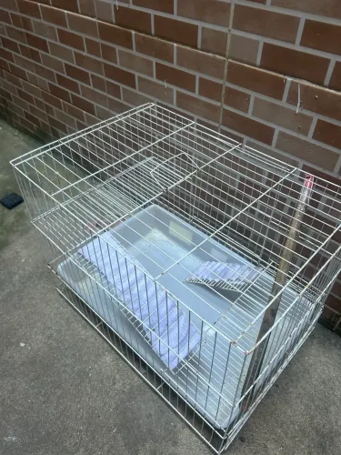 Gaiola para porquinho da índia e coelhos