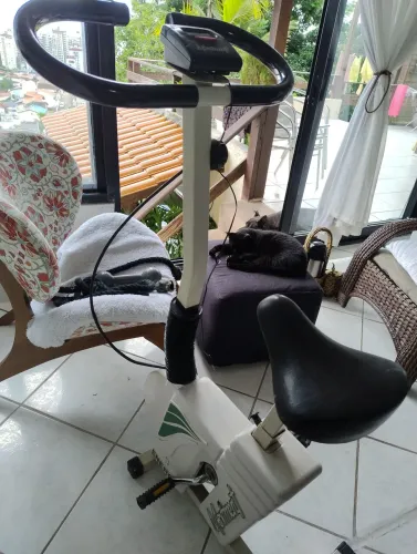 Bicicleta ergométrica