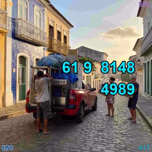 frete em jardim botânico e guará, faça sua mudança com qualidade!