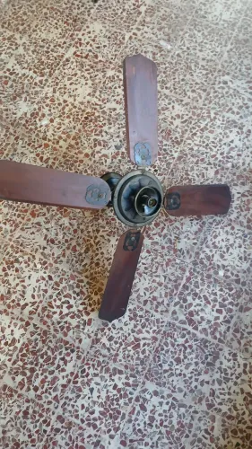 Ventilador de teto