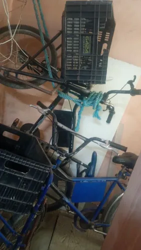 Bicicleta de carga