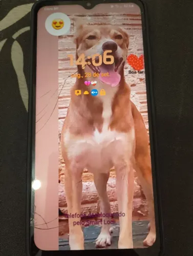 Celular a12 64 gigas