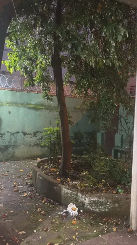 CASA - ABAIXO VALOR MERCADO