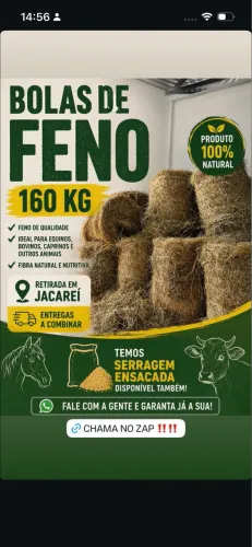 Bola de Feno 