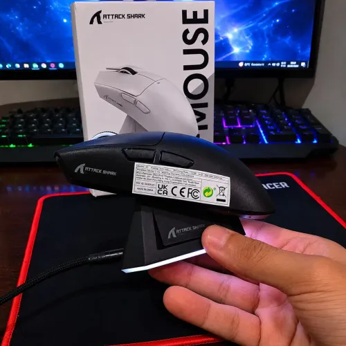 Mouse attack Shark x11