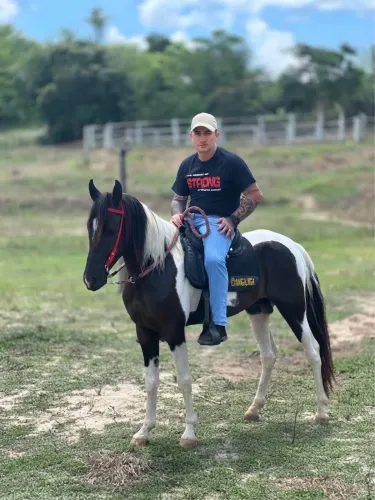 Cavalo Mangalarga Marchador