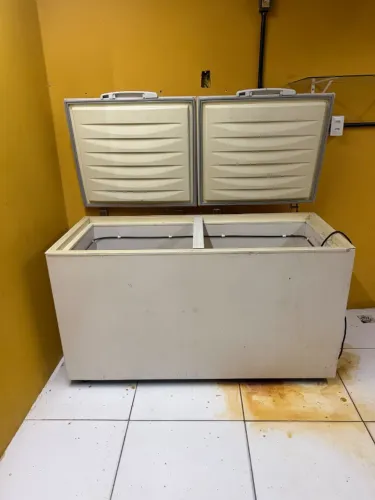 Freezer, geladeira e fritadeira