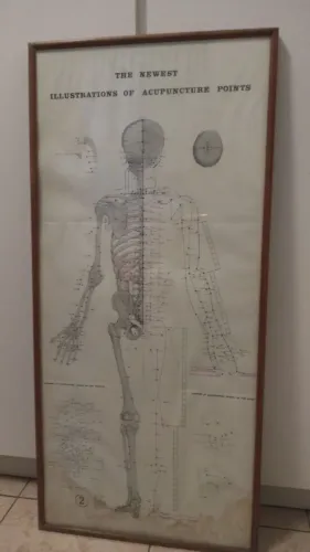 As Mais Novas Ilustrações dos Pontos de Acupuntura