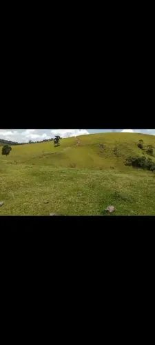 terreno 1 alqueire pasto em Piracaia SP