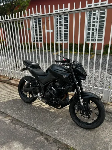MT 03 2025