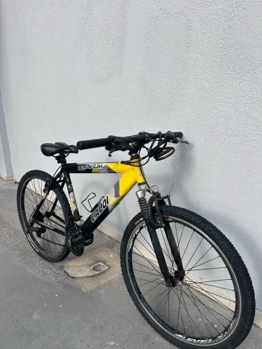 Bicicleta